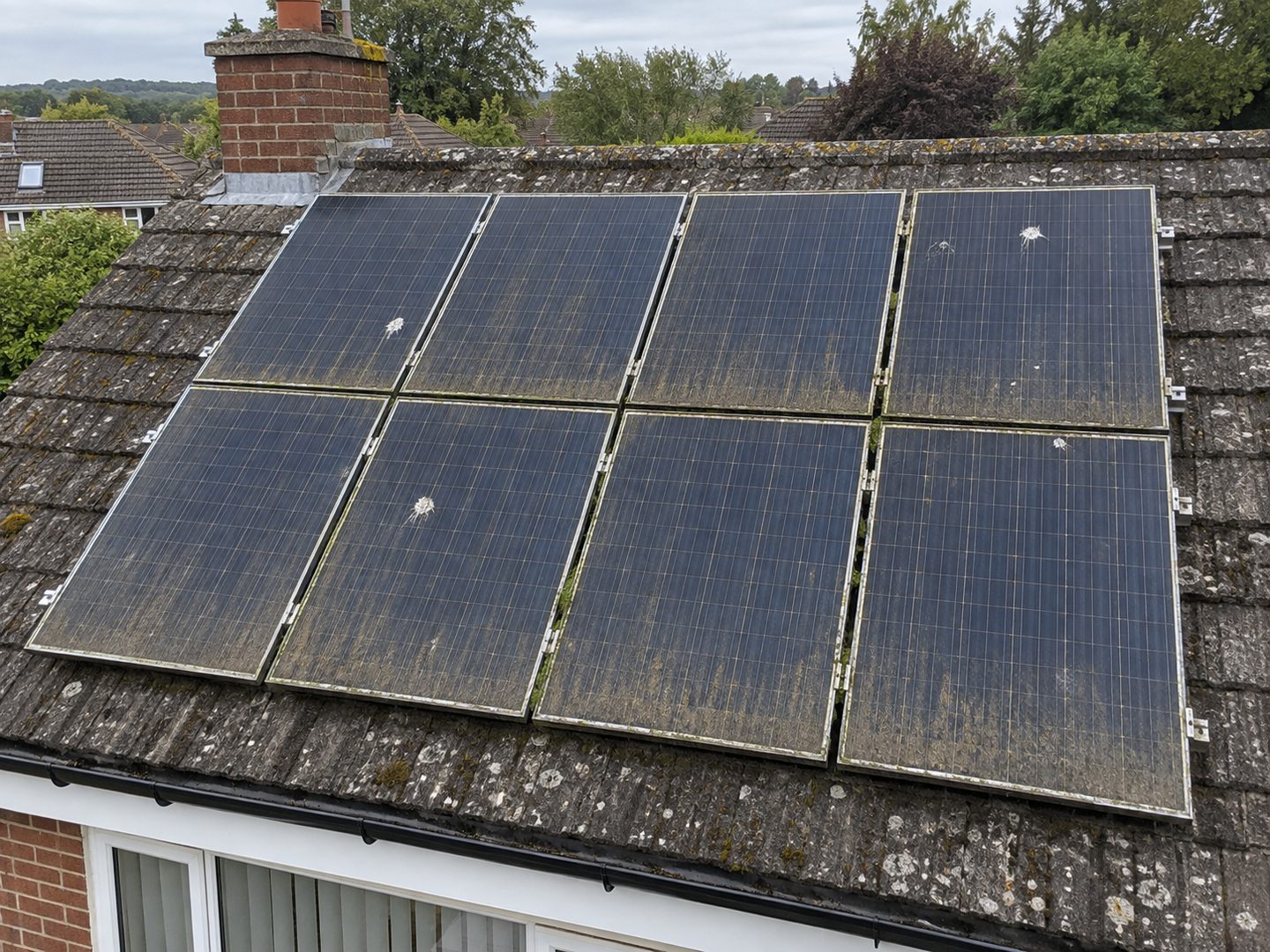 Roof-mounted solar panels before cleaning, moss and soiling across the glass